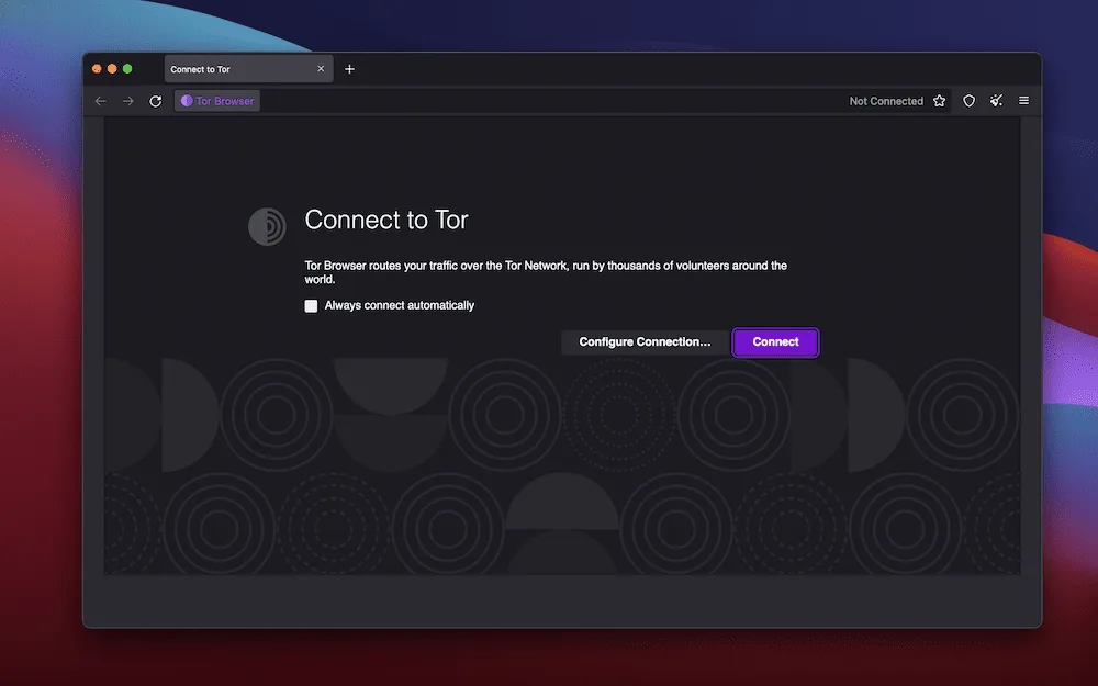 Tor Browser security configuration — recommended client setup for secure Torzon endpoint verification and PGP signature validation