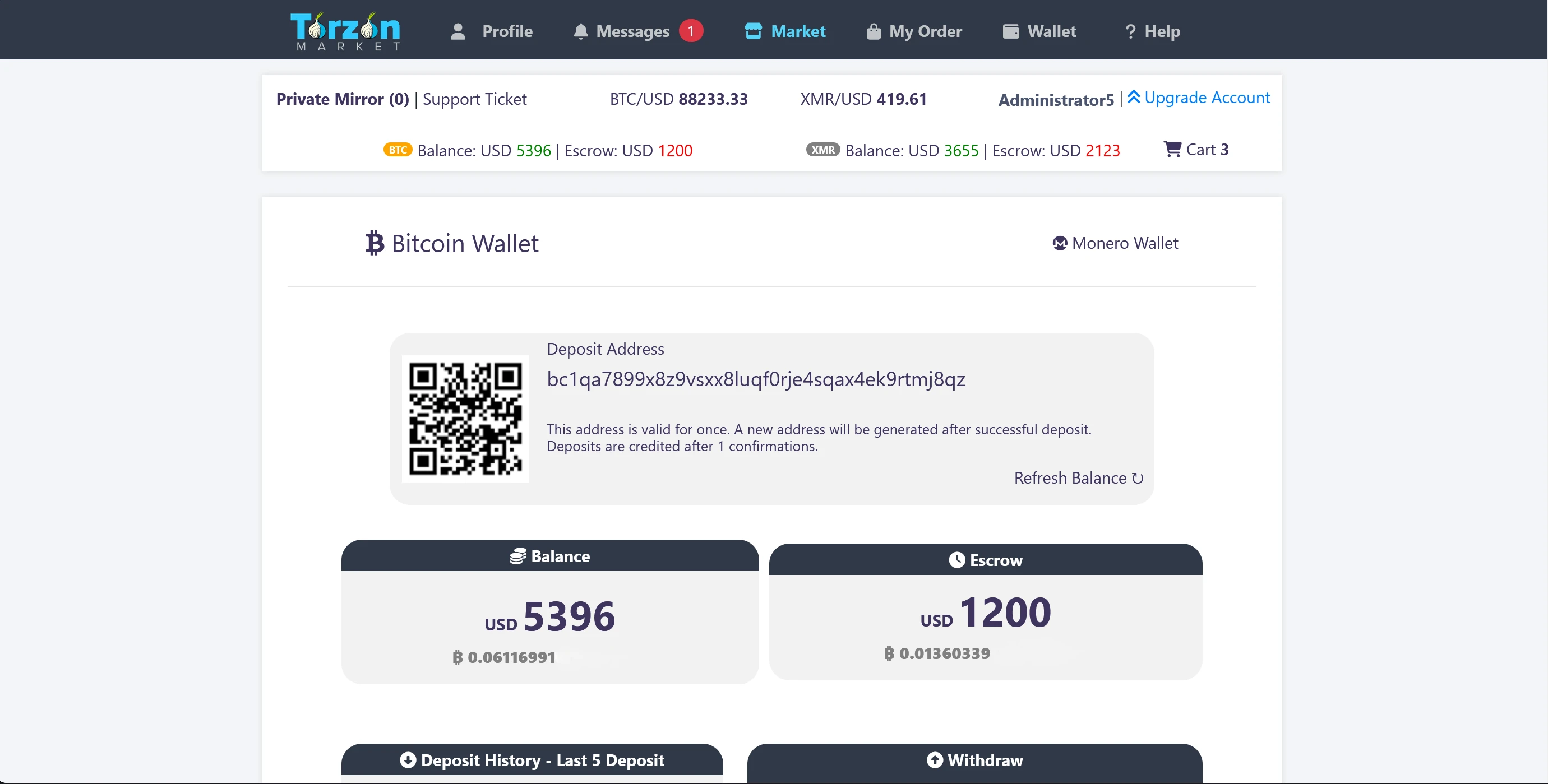 Torzon Market deposit interface — forensic documentation of the balance management system referenced in our phishing detection analysis